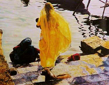 Fuentetaja - A la vora del Ganges